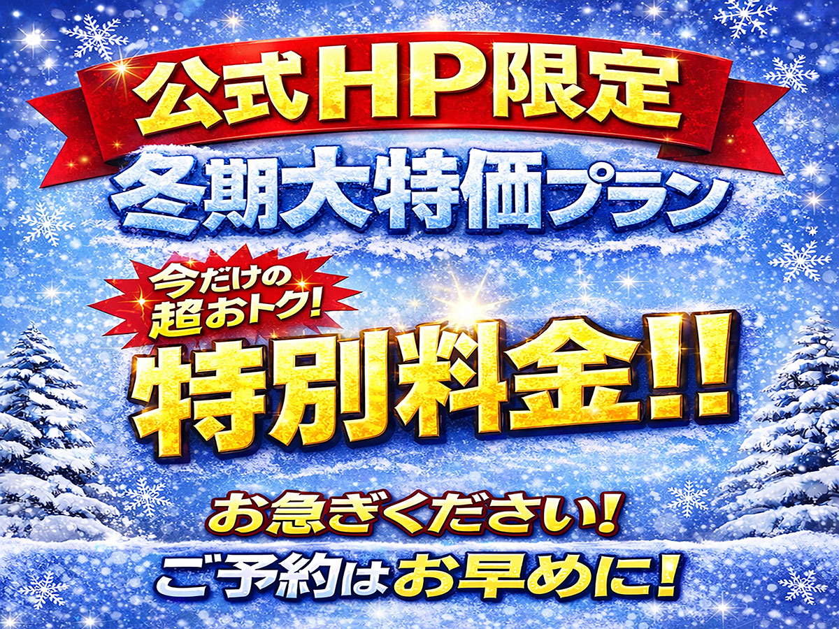 おすすめプラン①